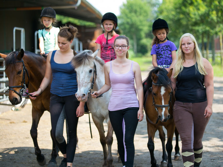 Ponyreiten