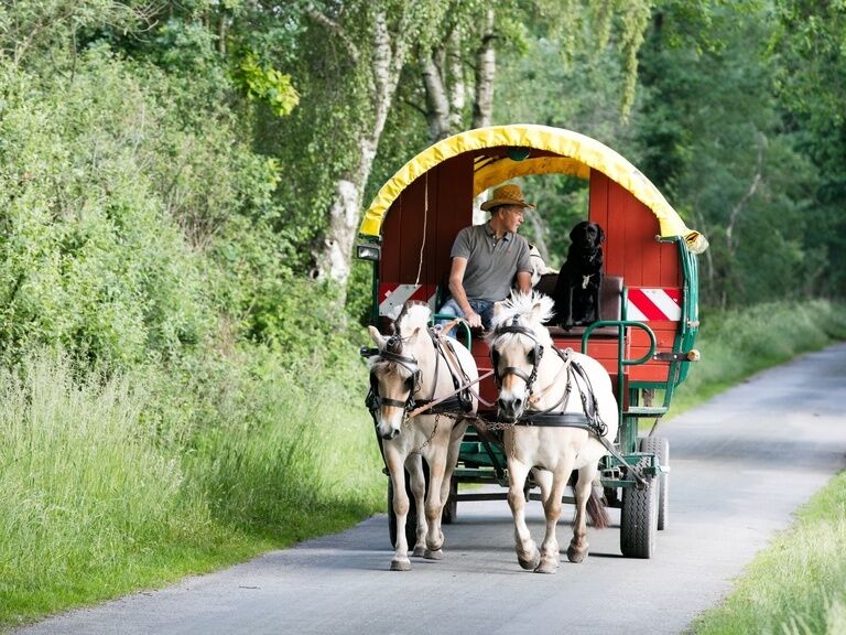 Kinder in Kutsche