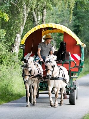 Kinder in Kutsche