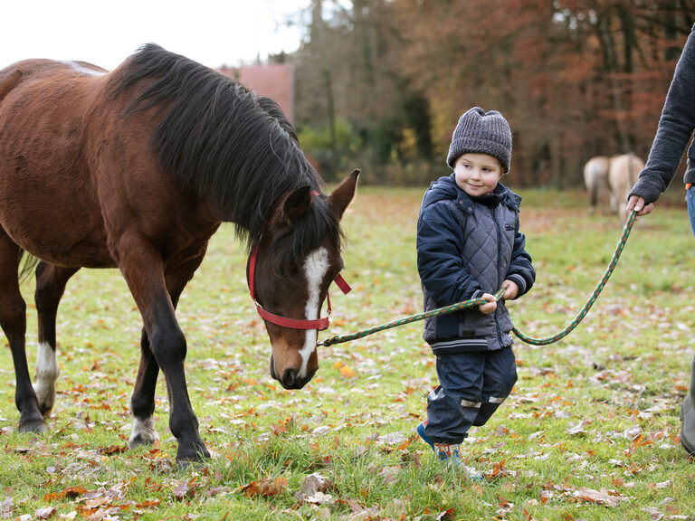 Kind führt Pferd