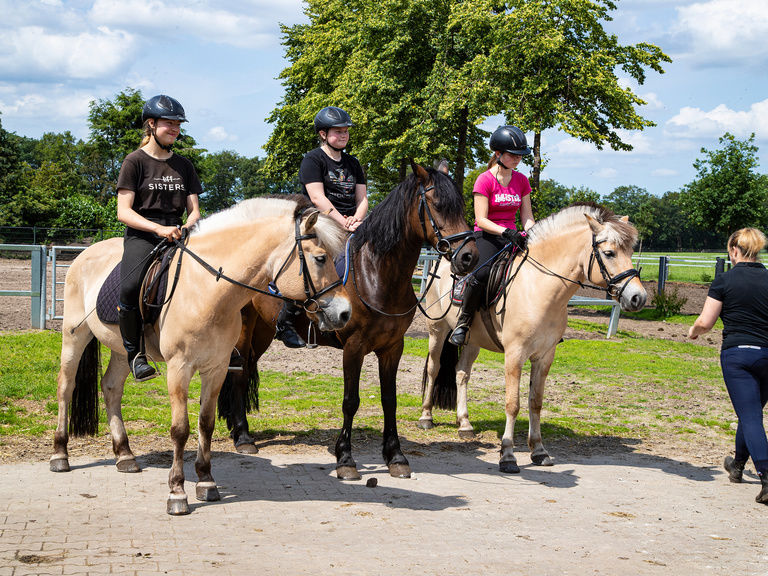 3 Pferde mit Mädchen