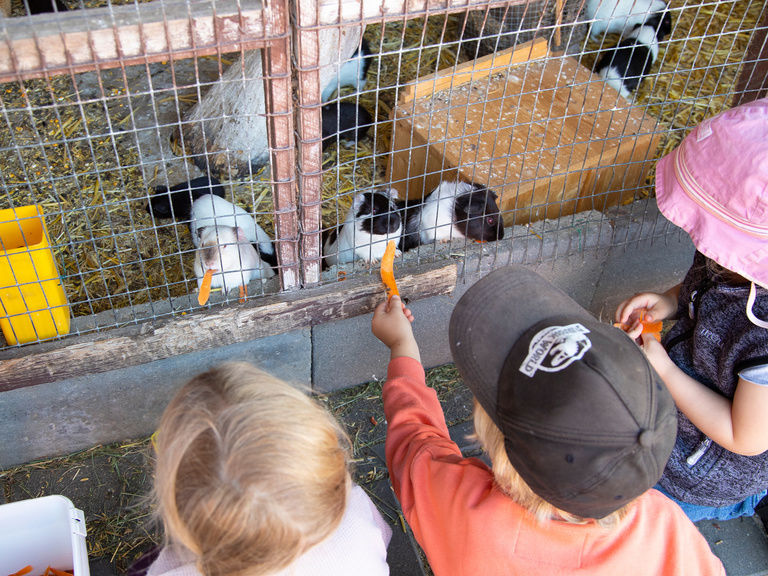 Kinder und Meerschweinchen