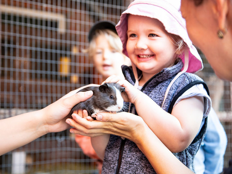 Familienhotel Landhus Laurenz im Münsterland: kleines Kind streichelt Meerschweinchen