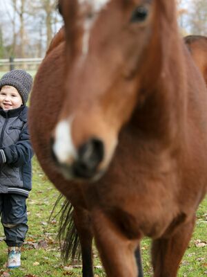 Kind führt Pferd am Seil